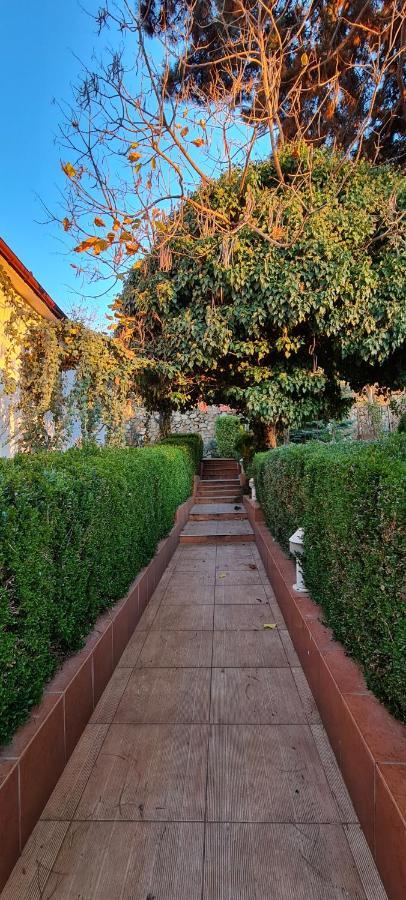 Vila Cu Ciubar & Jacuzzi - Sunset Hill House Cuvin Esterno foto